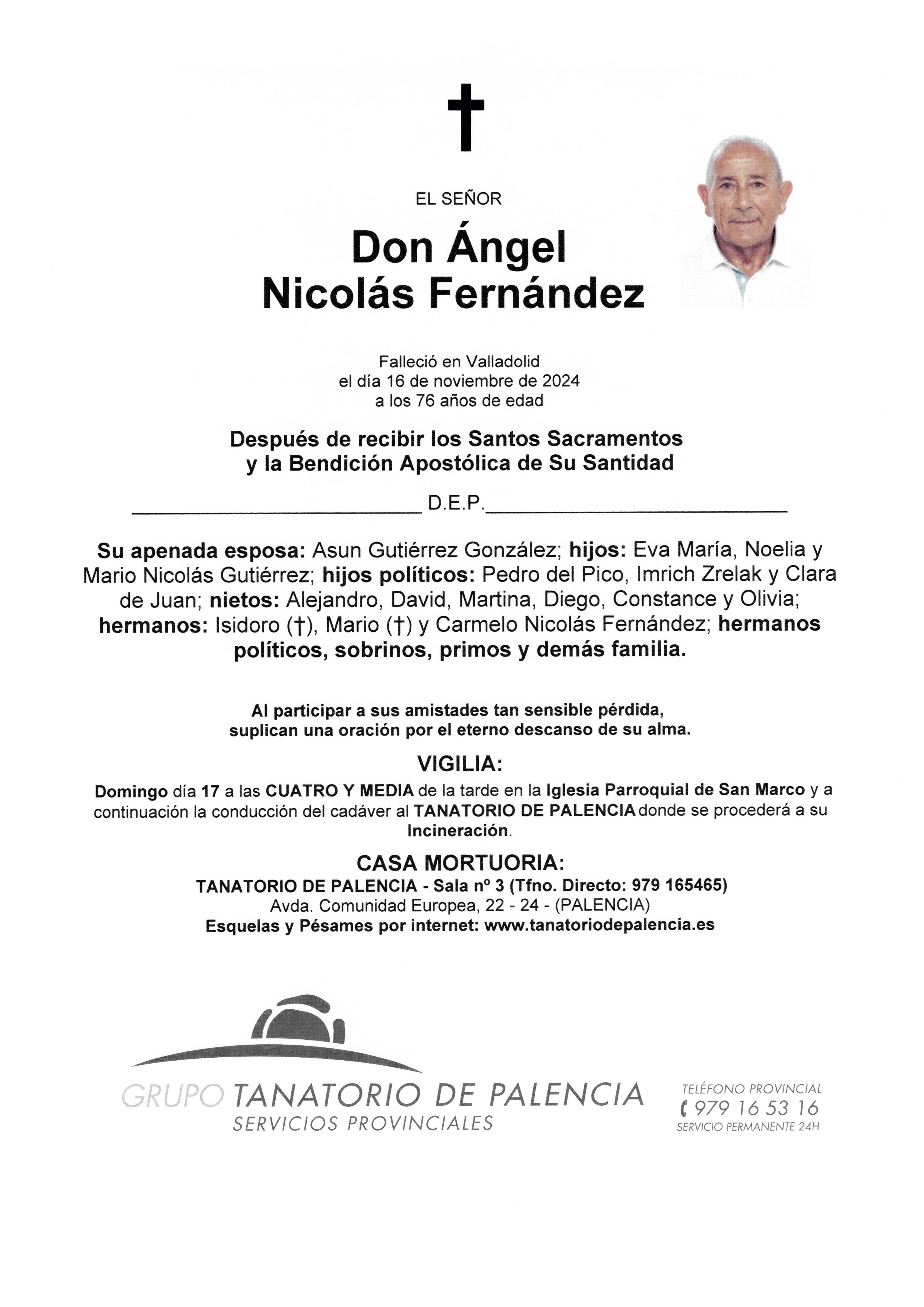 EL SEÑOR DON ÁNGEL NICOLÁS FERNÁNDEZ